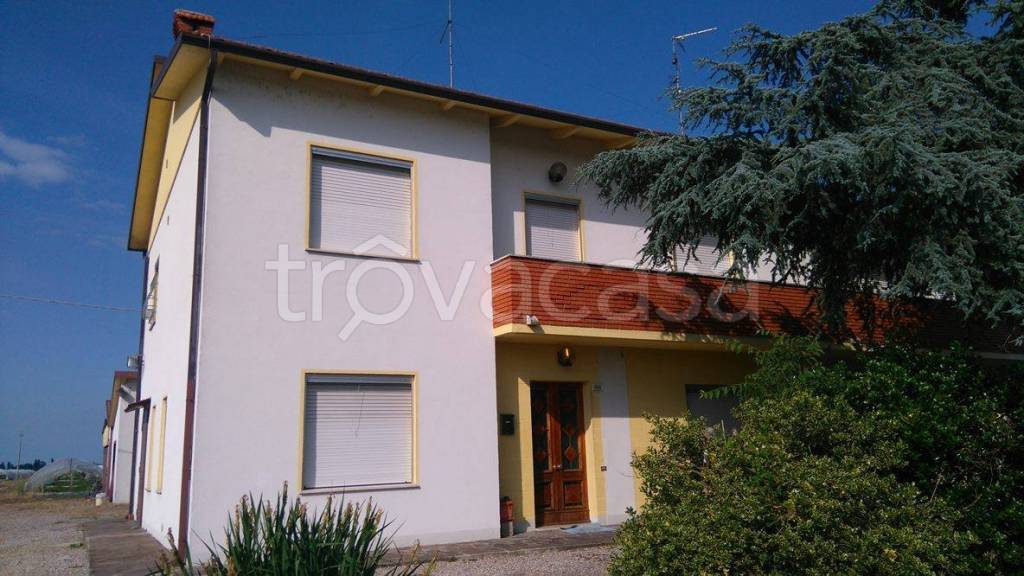 Villa Bifamiliare in in vendita da privato a Bondeno via Comunale, 108
