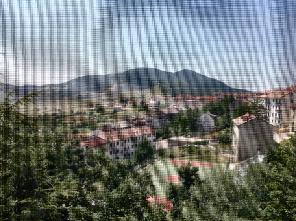 immagine annuncio 11 di 12