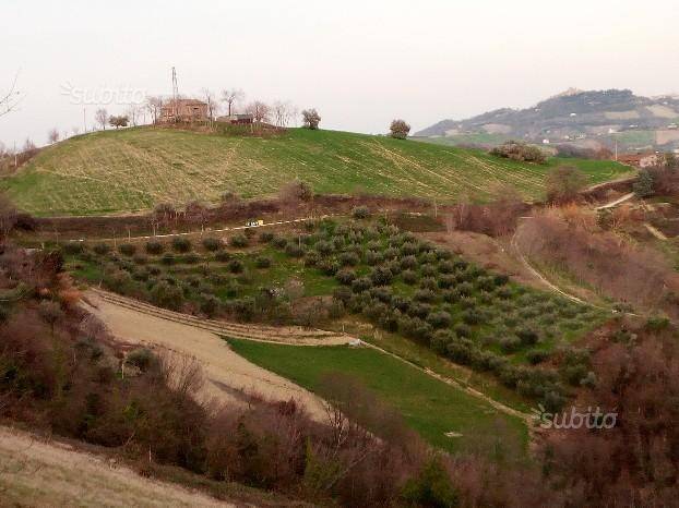 Terreno Agricolo in vendita a Carassai contrada Menocchia Sabbioni