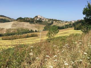 Terreno agricolo in vendita a montappone via sole, 16