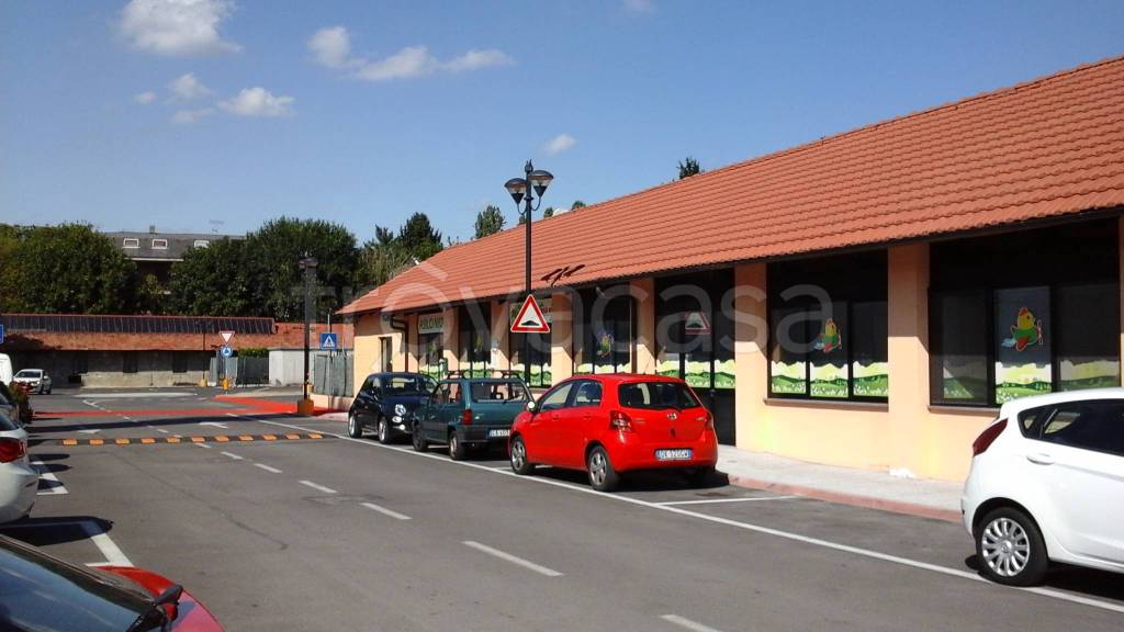 immagine annuncio 5 di 15