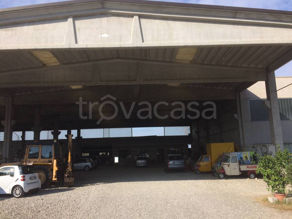 immagine annuncio 8 di 10