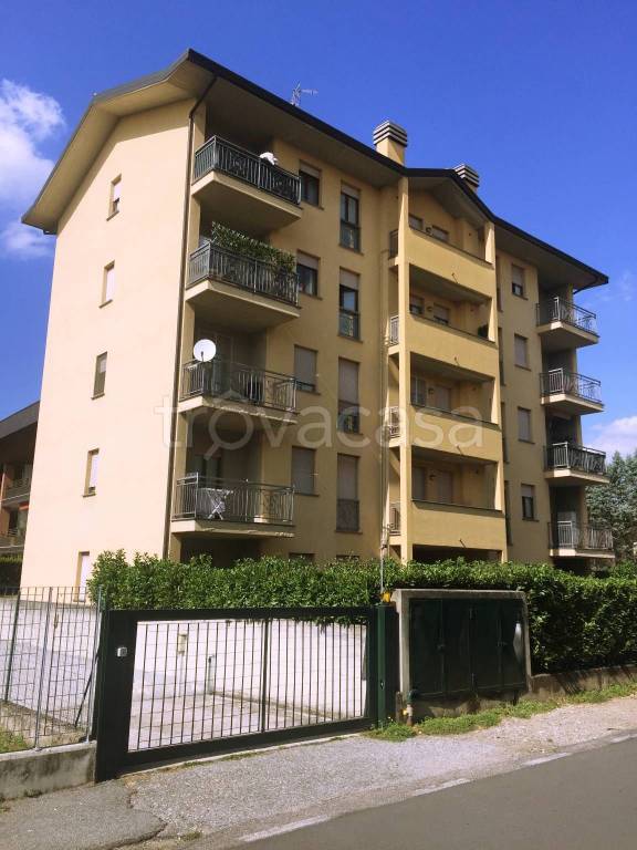 Appartamento in in affitto da privato a Gallarate via Fratelli Vigorelli, 1