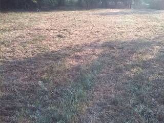 Terreno agricolo in vendita a ferentino 