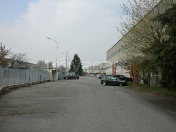 immagine annuncio 6 di 12