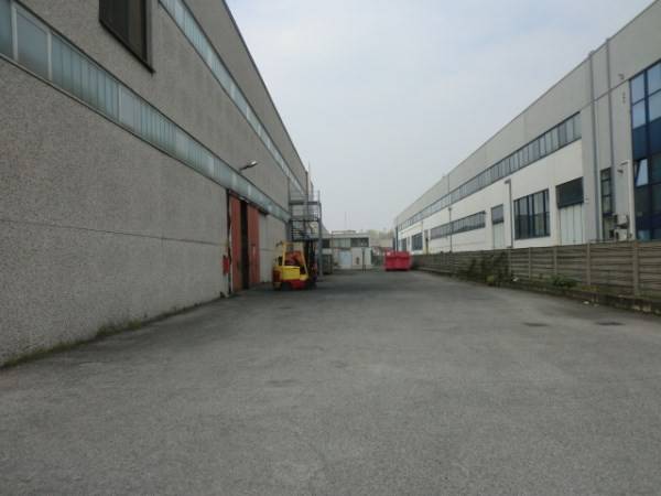 immagine annuncio 5 di 12