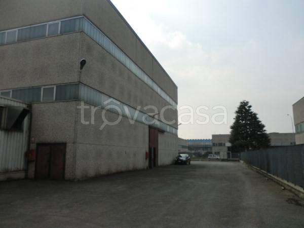 immagine annuncio 4 di 12