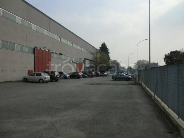 immagine annuncio 10 di 12
