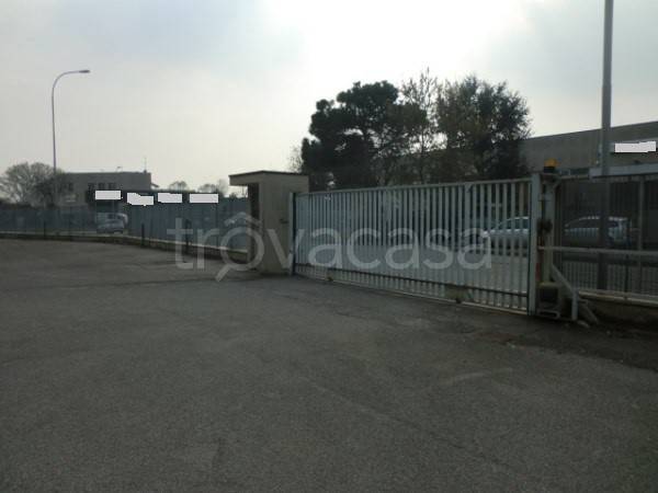 immagine annuncio 11 di 12
