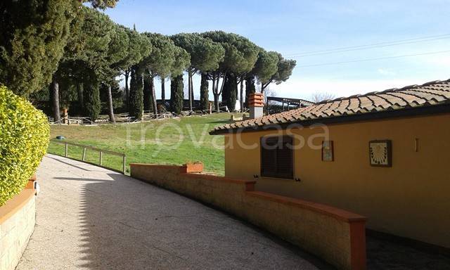 immagine annuncio 4 di 6