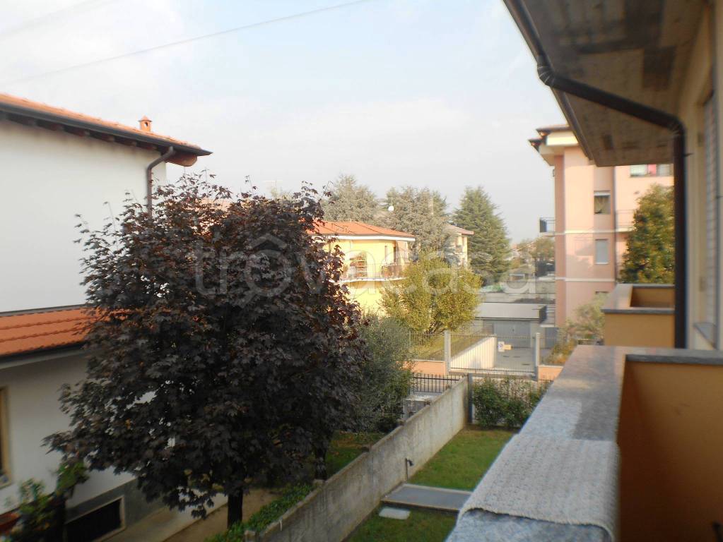 immagine annuncio 3 di 14