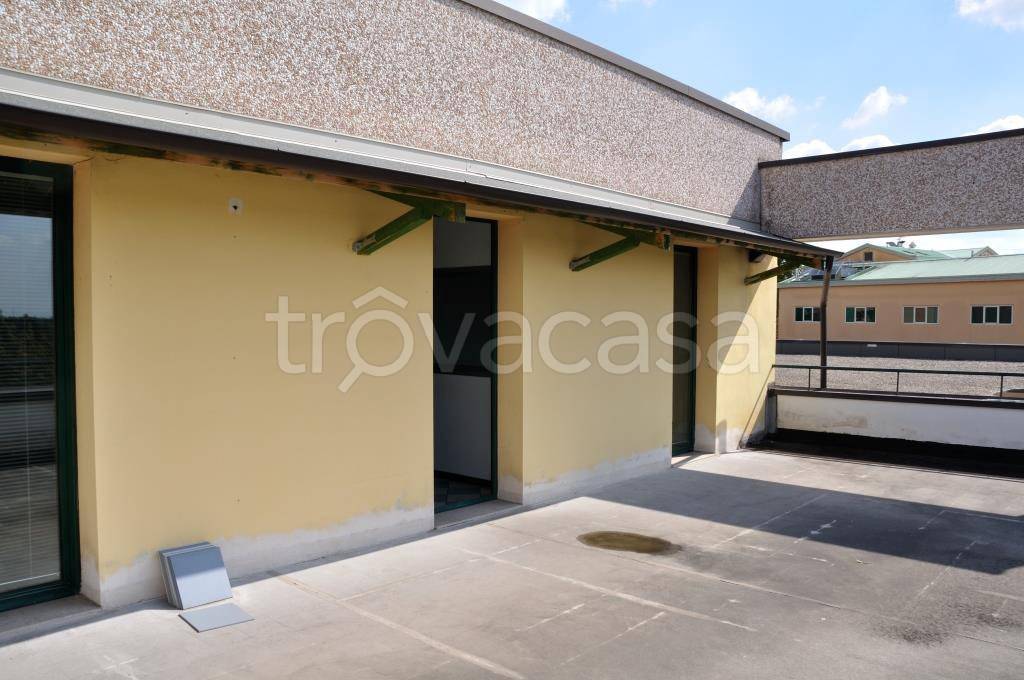 immagine annuncio 3 di 13