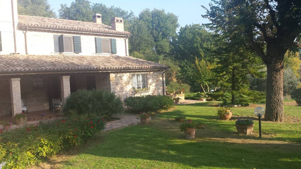 immagine annuncio 6 di 7