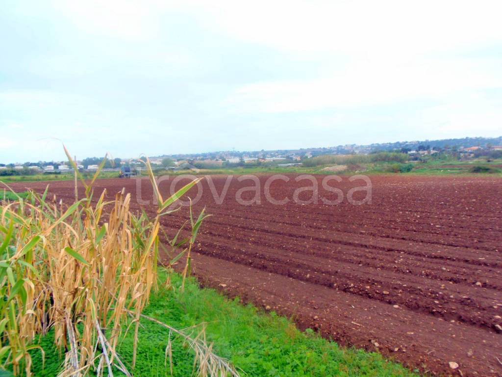 Terreno Agricolo in vendita a Ragusa via Siviglia