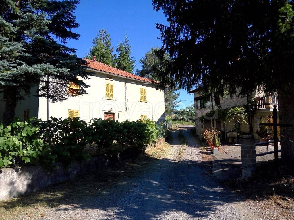 Casa Indipendente in in vendita da privato a Bardi località Costageminiana