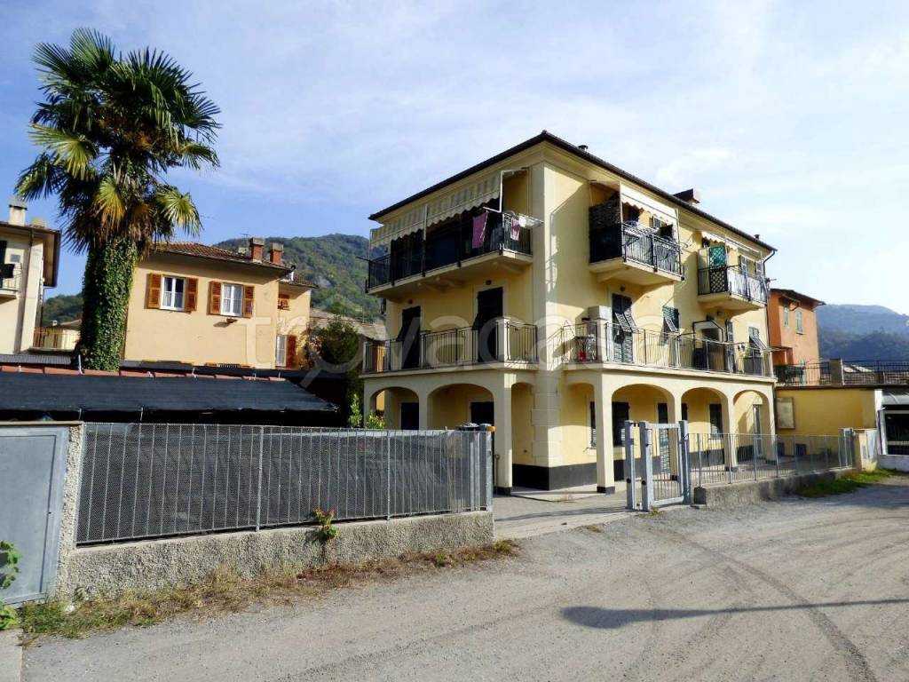 immagine annuncio 9 di 10