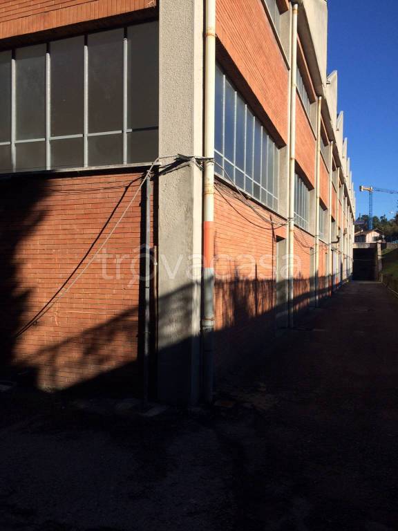 immagine annuncio 4 di 7