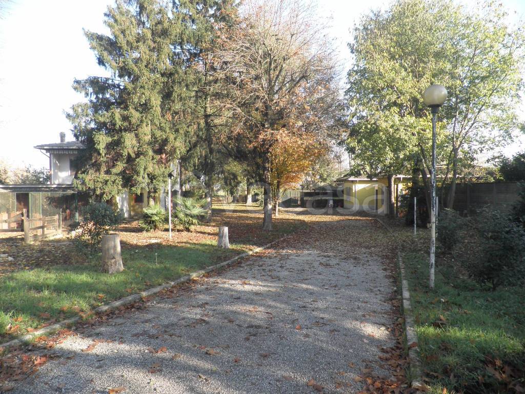 immagine annuncio 2 di 13