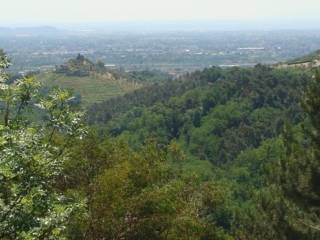 Casale in in vendita da privato a lucca via di mastiano e gugliano, 5322