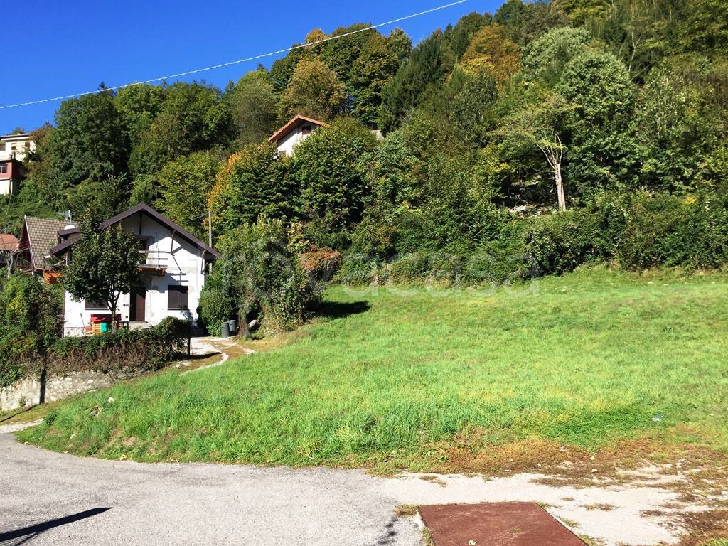immagine annuncio 3 di 7