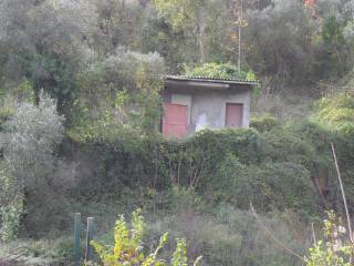 Terreno agricolo in vendita a formia via ponzanello