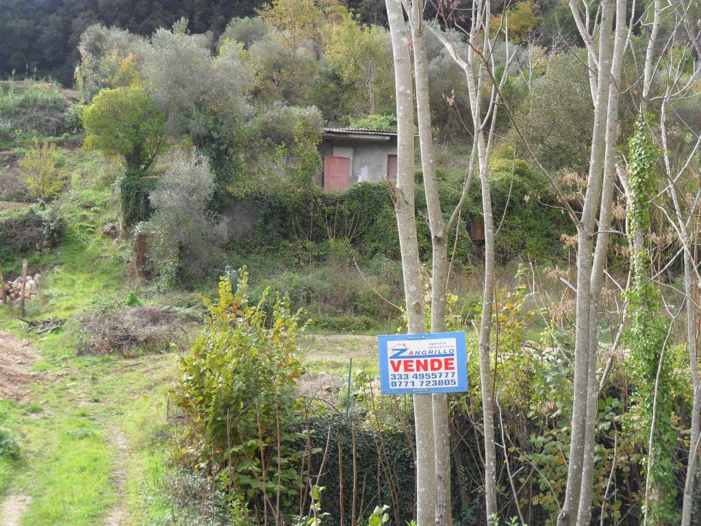 immagine annuncio 4 di 8