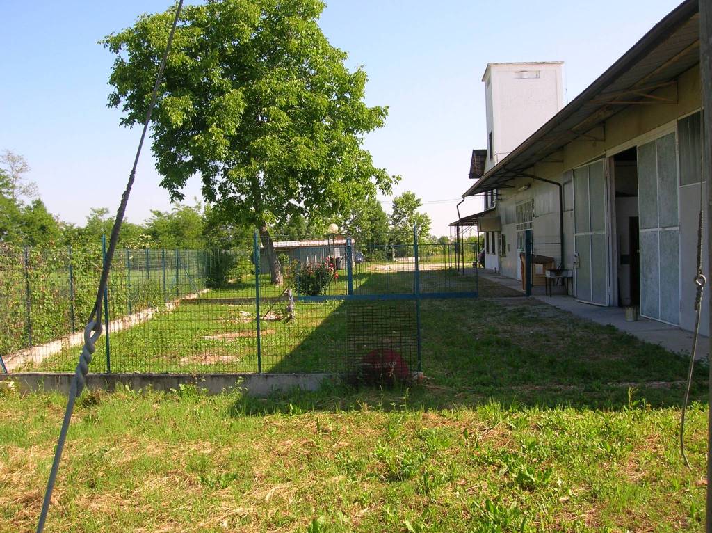 immagine annuncio 1 di 6