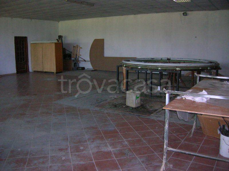 immagine annuncio 4 di 6