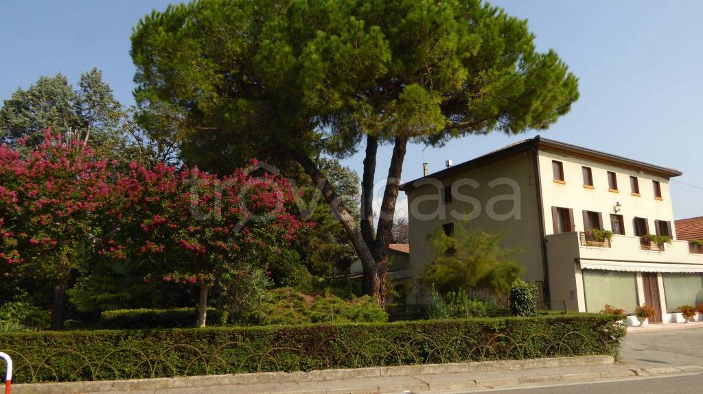 immagine annuncio 2 di 8