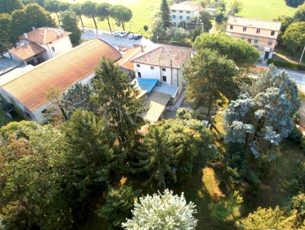 immagine annuncio 7 di 8