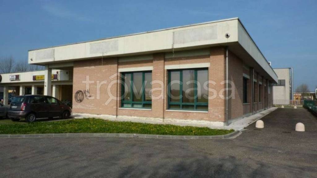 immagine annuncio 2 di 11