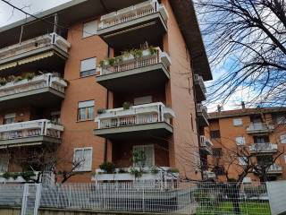 Appartamento in affitto a viterbo 
