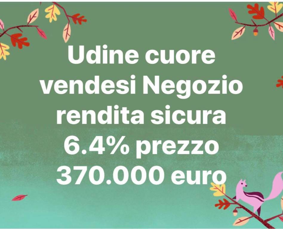 Negozio in vendita a Udine via Nicolò Lionello