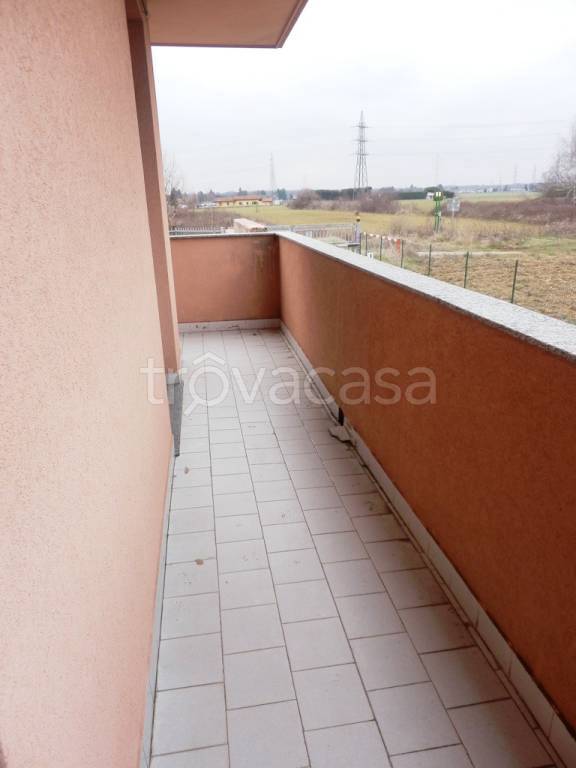 immagine annuncio 6 di 8