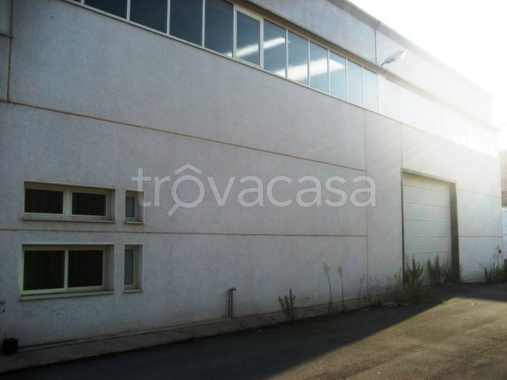 immagine annuncio 3 di 7