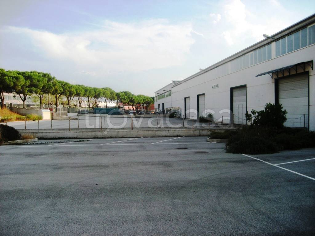immagine annuncio 4 di 7