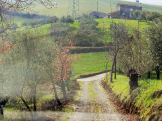 Terreno agricolo in vendita a picciano via dell'internazionale, 9