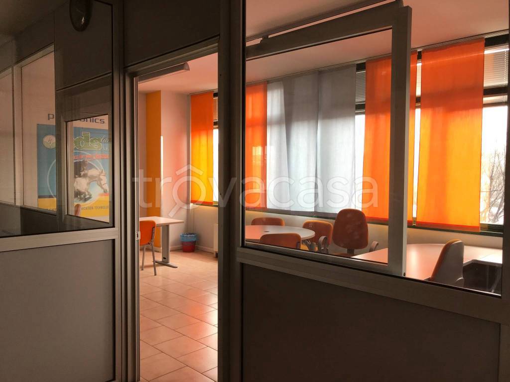 immagine annuncio 2 di 13