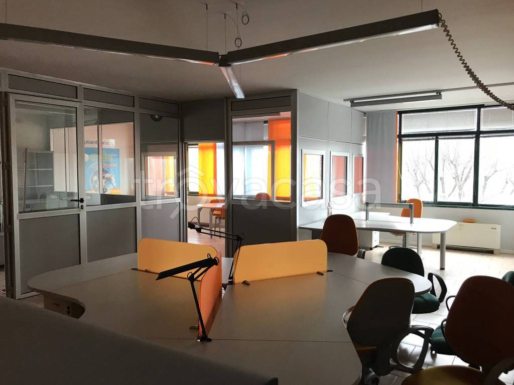 immagine annuncio 12 di 13