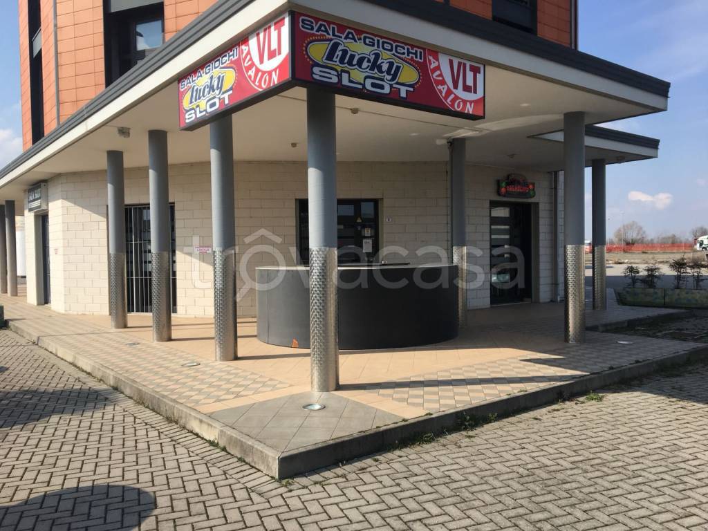 immagine annuncio 8 di 15