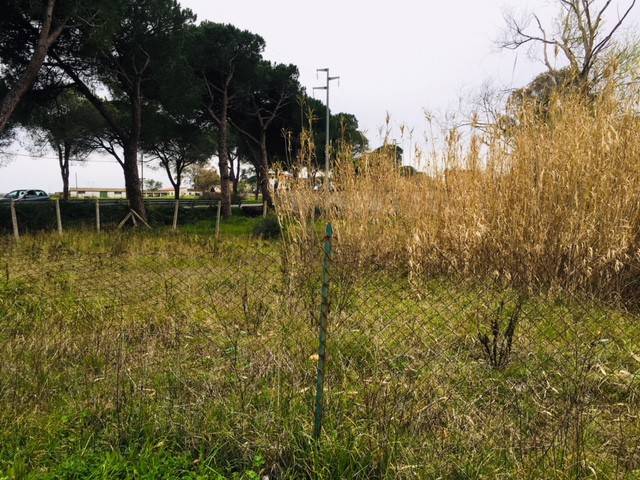 immagine annuncio 9 di 11