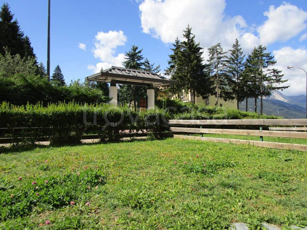 immagine annuncio 12 di 13
