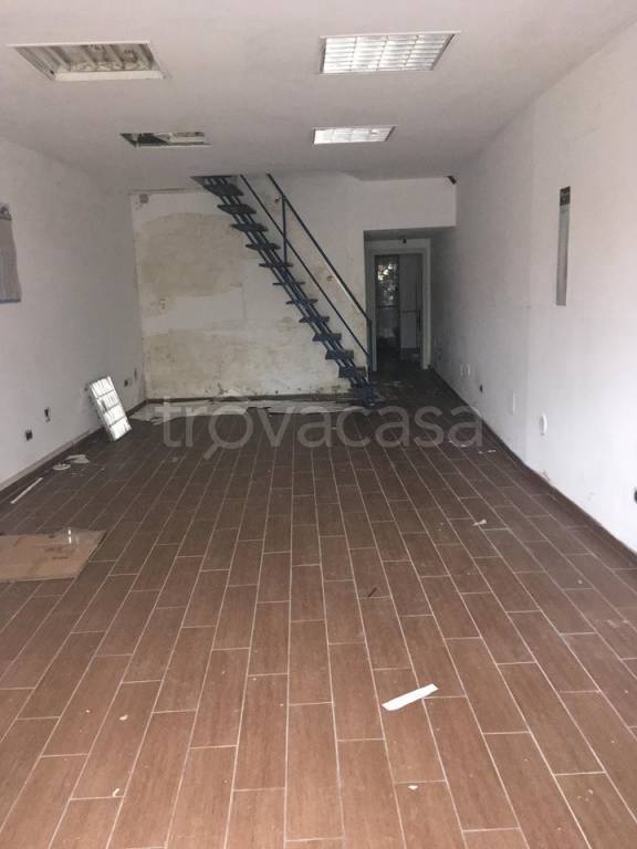 immagine annuncio 2 di 11
