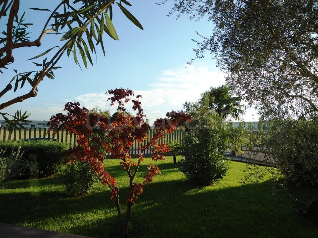 immagine annuncio 8 di 11