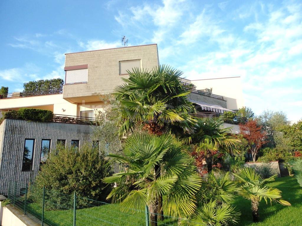 immagine annuncio 9 di 11