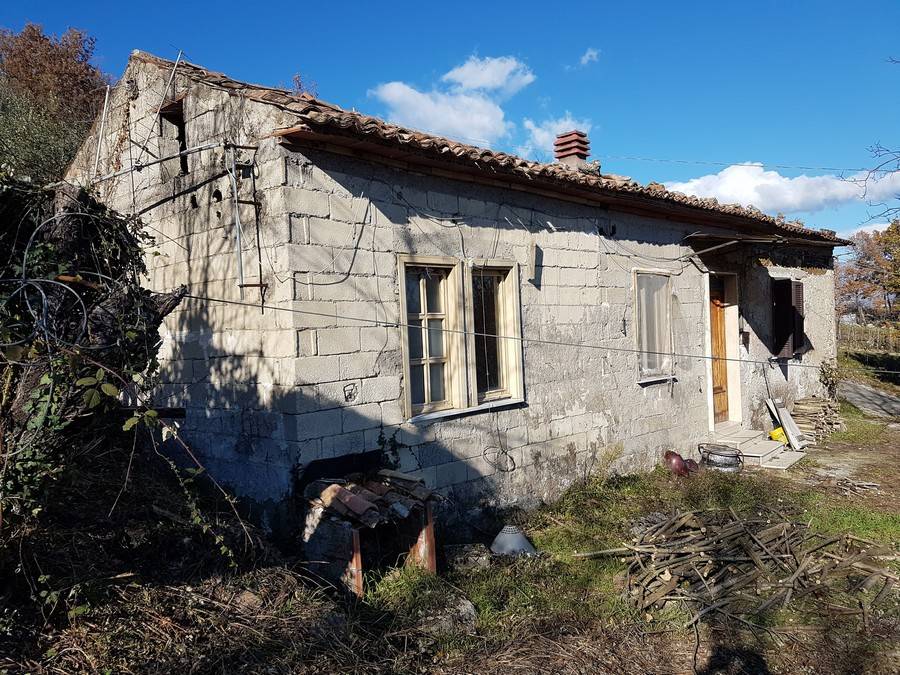 immagine annuncio 1 di 10