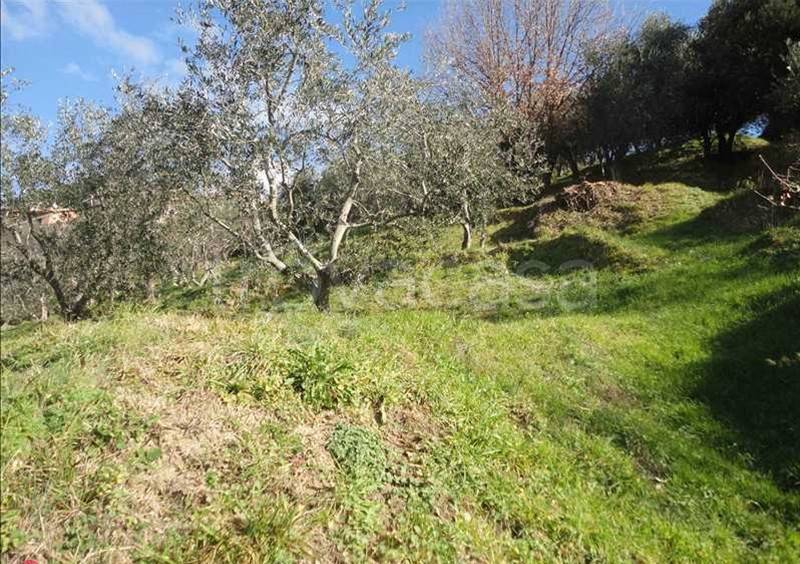 immagine annuncio 4 di 8