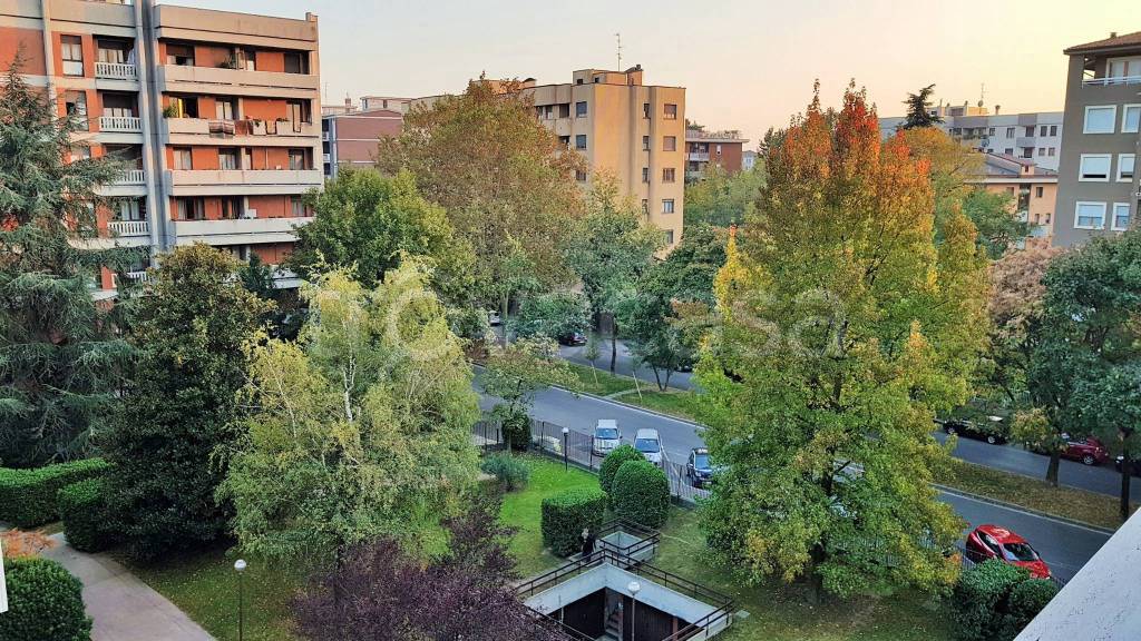 immagine annuncio 3 di 9