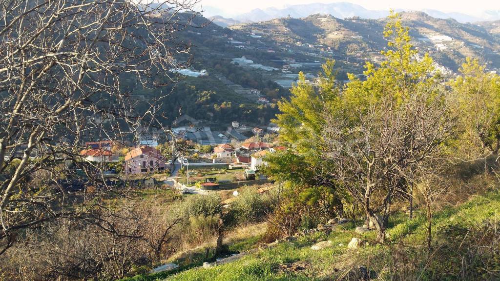 Terreno Agricolo in vendita a Vallecrosia località Guraba