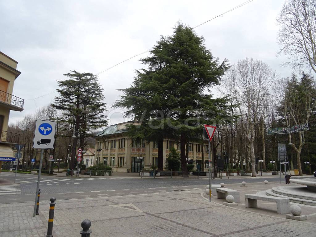 immagine annuncio 10 di 12